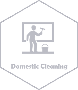 domesticleaningback
